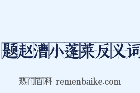题赵漕小蓬莱反义词是什么意思的图片